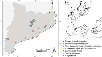 Do Forest Fires Make Biotic Communities Homogeneous or Heterogeneous? Patterns of Taxonomic, Functional, and Phylogenetic Ant Beta Diversity at Local and Regional Landscape Scales